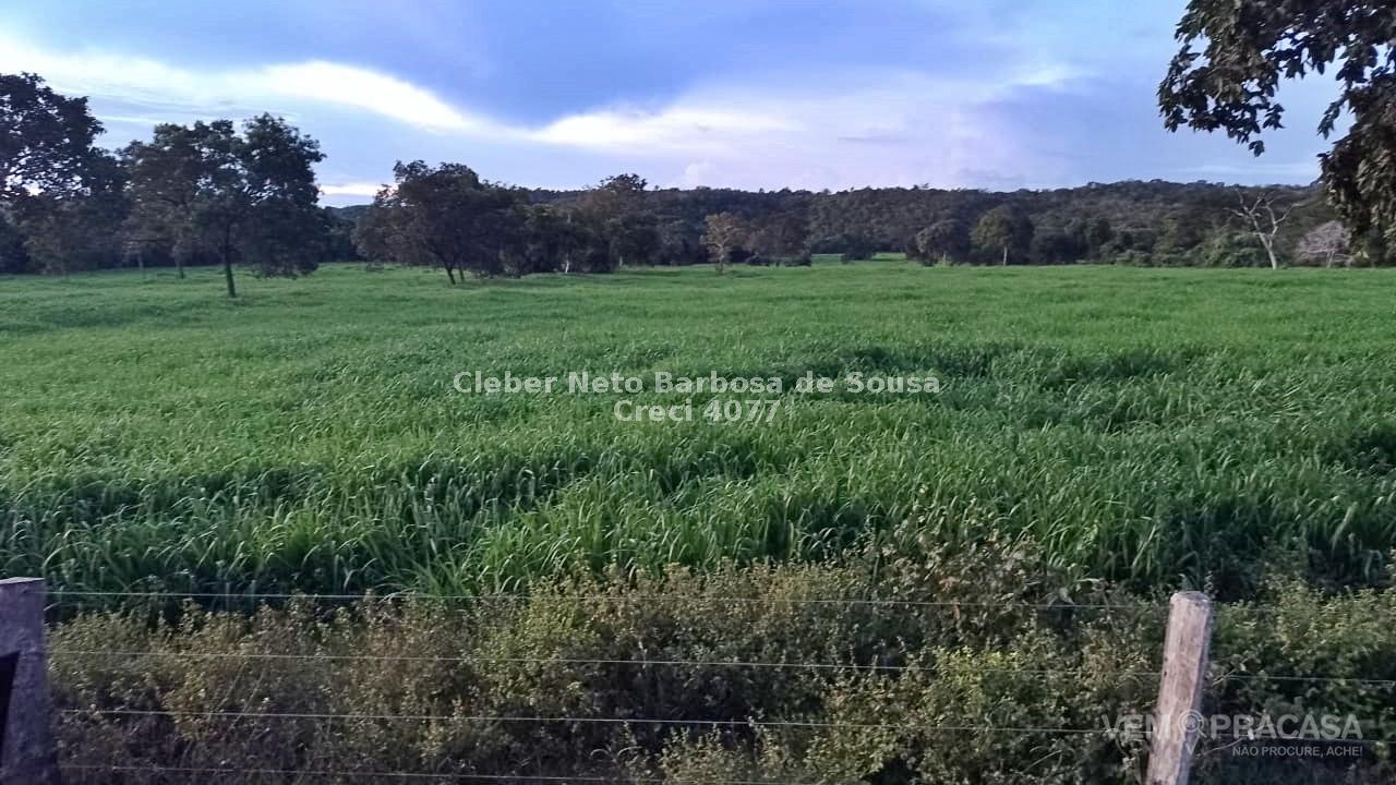 Fazenda à venda no Zona Rural, Rio Verde de Mato Grosso – foto 3