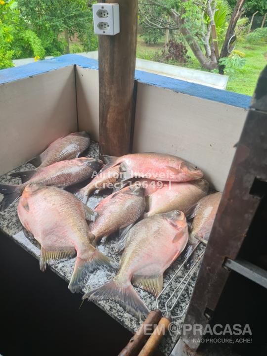 Pesqueiro à venda no Zona Rural, Palmeiras (Dois Irmãos do Buriti) – foto 21