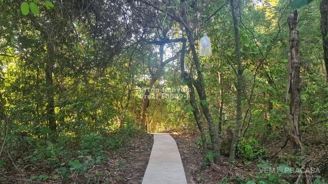Pesqueiro à venda no Zona Rural, Palmeiras (Dois Irmãos do Buriti) – foto 18