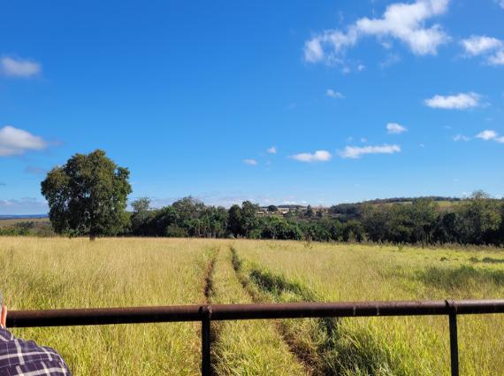Chácara à venda no Zona Rural, Jaraguari