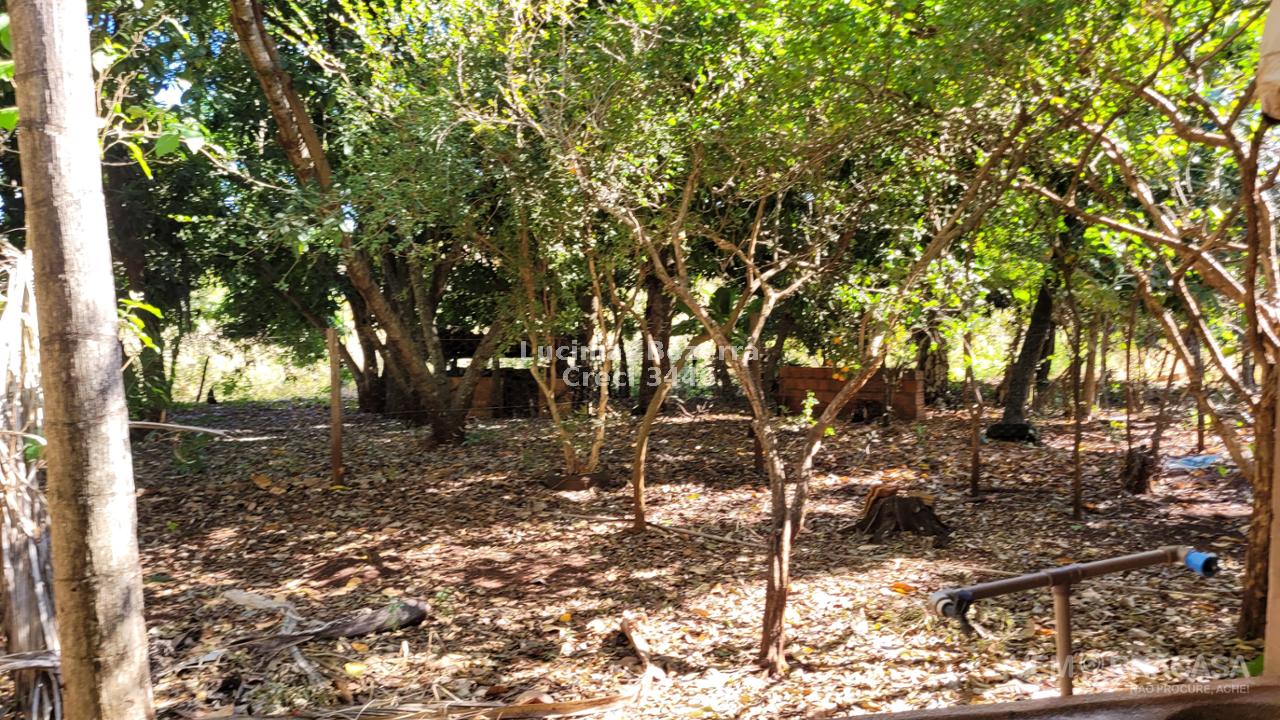 Chácara à venda no Zona Rural, Jaraguari – foto 13