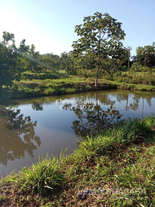 Chácara à venda no Zona Rural, Terenos – foto 14
