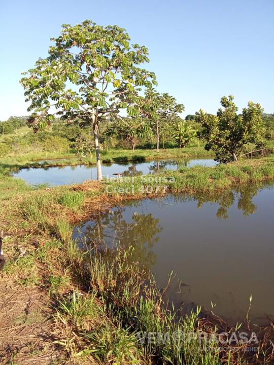 Chácara à venda no Zona Rural, Terenos – foto 23