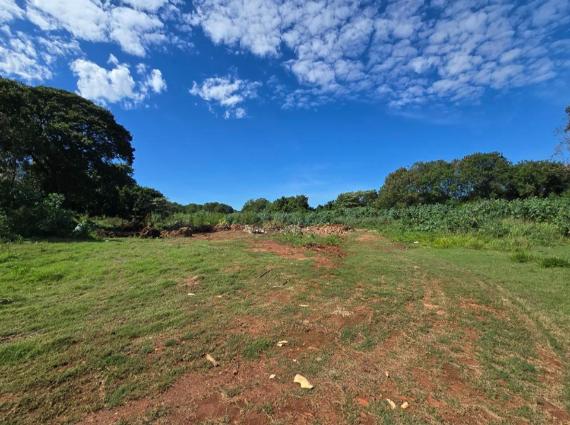 Sítio à venda no Zona Rural, Sidrolândia