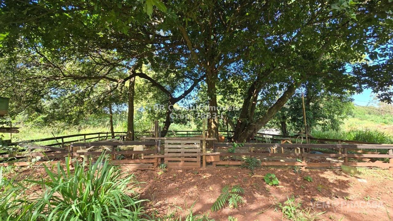 Sítio à venda no Zona Rural, Sidrolândia – foto 6