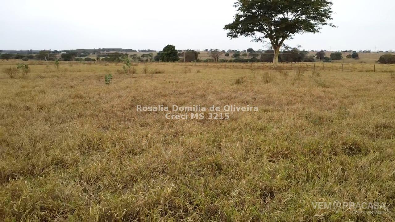 Fazenda à venda no Parque Empresarial, Andradina – foto 3