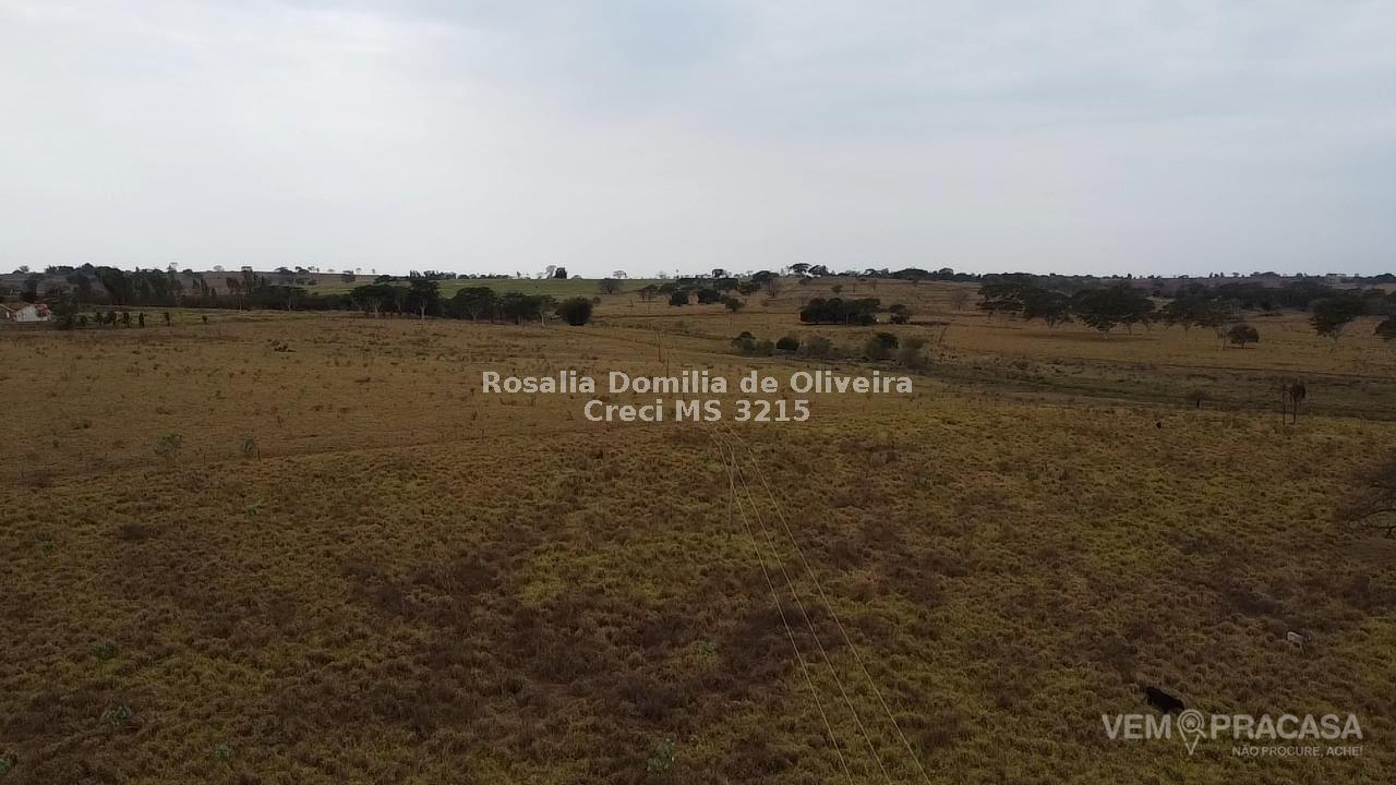 Fazenda à venda no Parque Empresarial, Andradina – foto 5