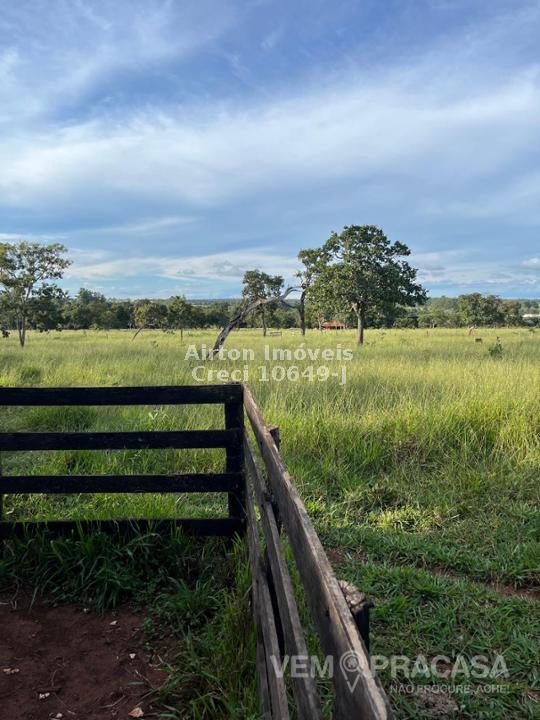 Sítio à venda no Zona Rural, Jaraguari – foto 23