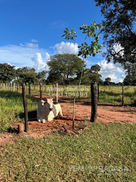 Sítio à venda no Zona Rural, Jaraguari – foto 27