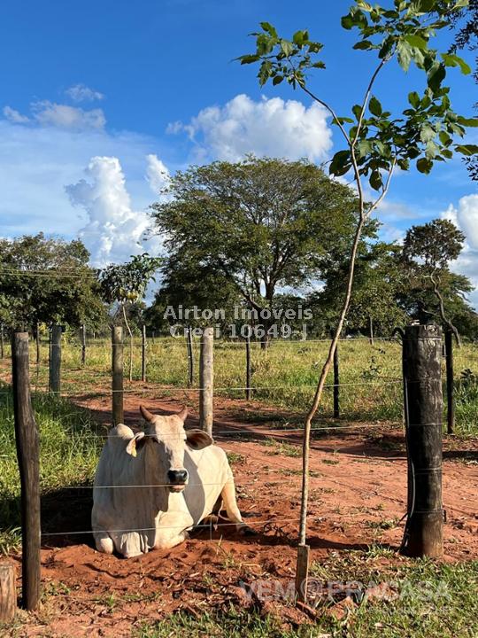 Sítio à venda no Zona Rural, Jaraguari – foto 28