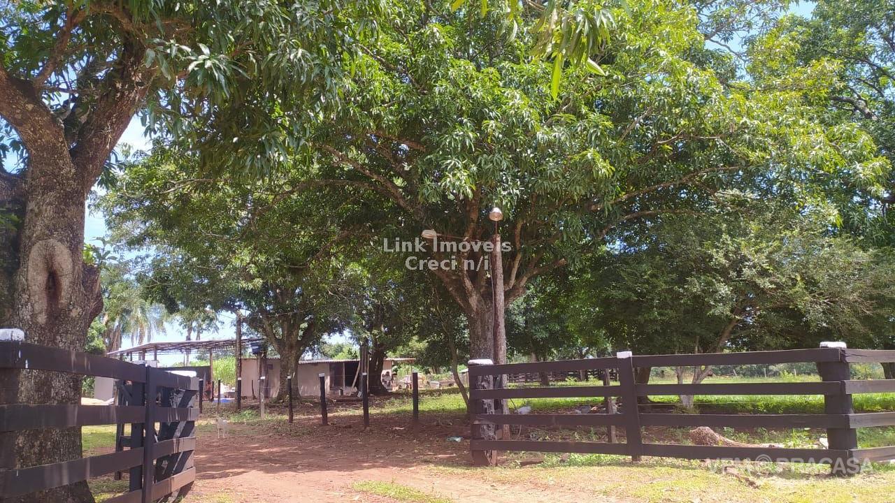 Chácara à venda na Chácara das Mansões, Campo Grande – foto 3