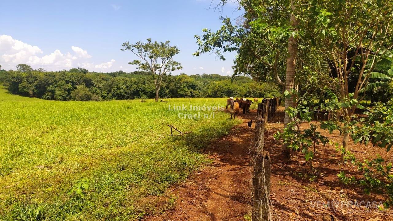 Chácara à venda na Chácara das Mansões, Campo Grande – foto 10