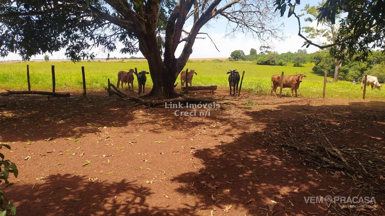 Chácara à venda na Chácara das Mansões, Campo Grande – foto 11