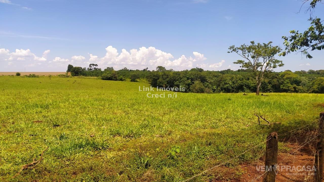 Chácara à venda na Chácara das Mansões, Campo Grande – foto 12