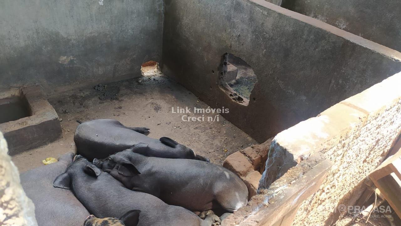 Chácara à venda na Chácara das Mansões, Campo Grande – foto 14
