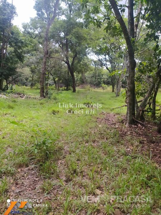 Chácara à venda na Chácara das Mansões, Campo Grande – foto 21