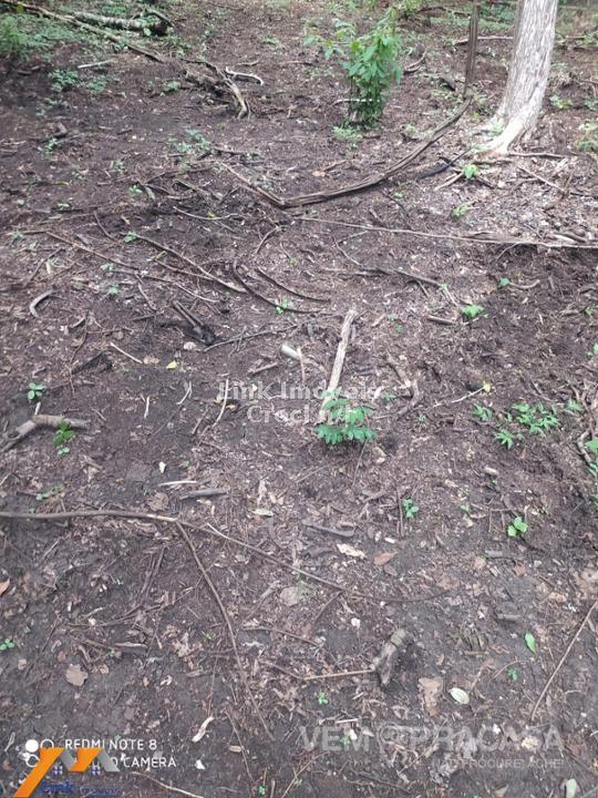 Chácara à venda na Chácara das Mansões, Campo Grande – foto 22