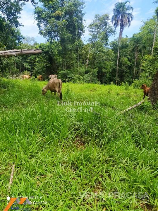 Chácara à venda na Chácara das Mansões, Campo Grande – foto 23