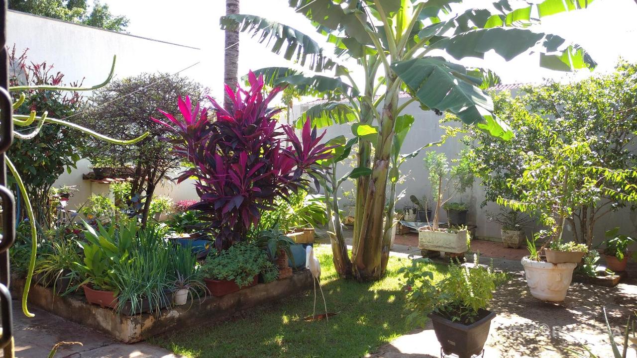 Casa Térrea à venda na Vila Rica, Campo Grande – foto 17