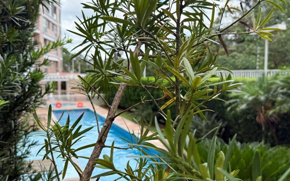 Apartamento à venda no Monte Castelo, Campo Grande – foto 27