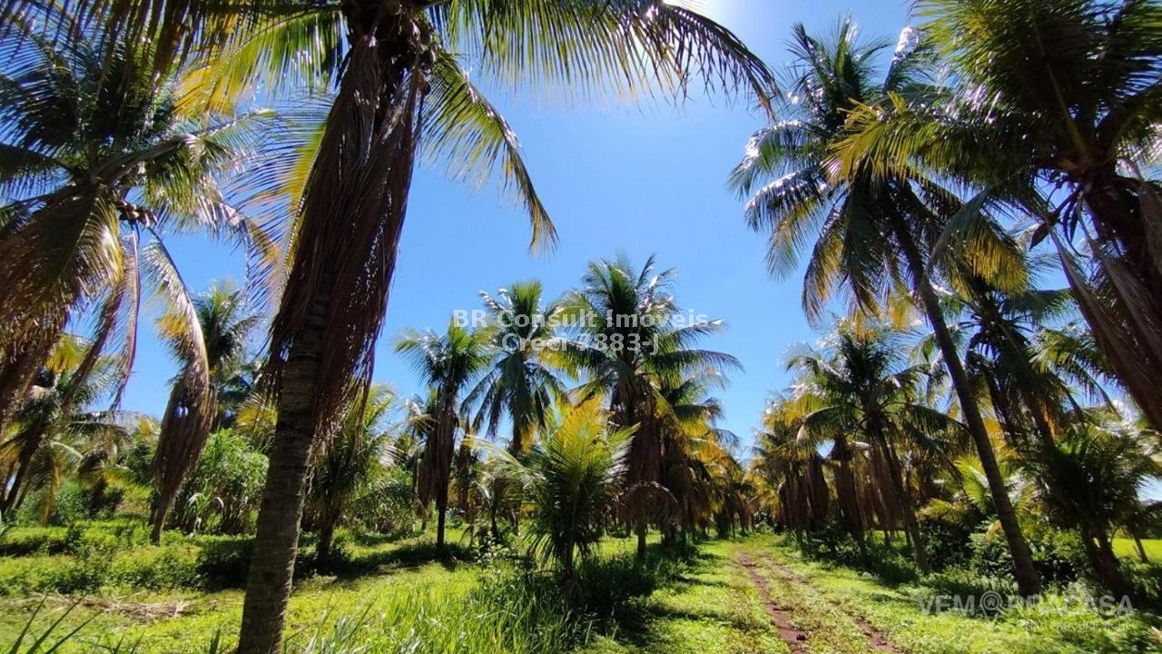 Chácara à venda no Zona Rural, Terenos – foto 2