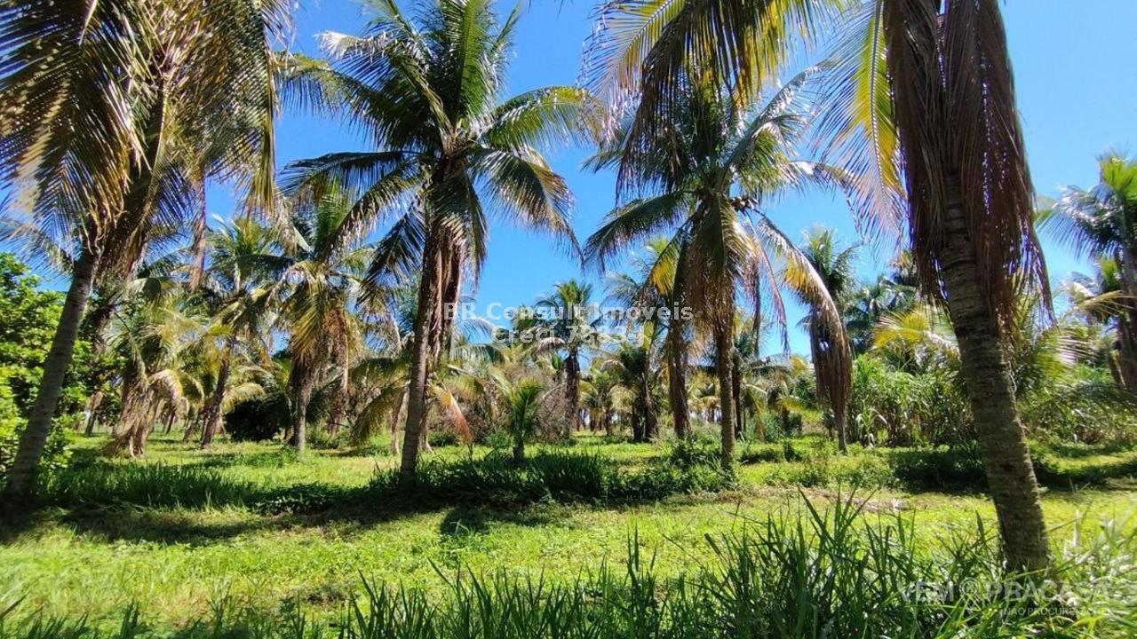 Chácara à venda no Zona Rural, Terenos – foto 3