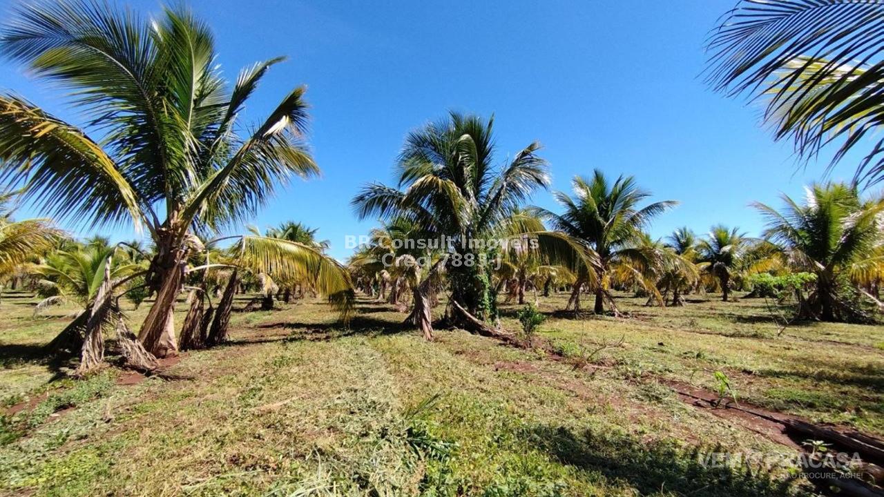 Chácara à venda no Zona Rural, Terenos – foto 7