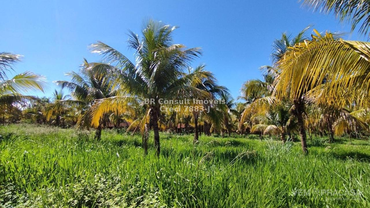 Chácara à venda no Zona Rural, Terenos – foto 20