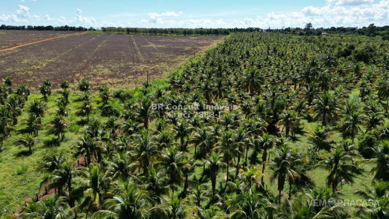 Chácara à venda no Zona Rural, Terenos – foto 24