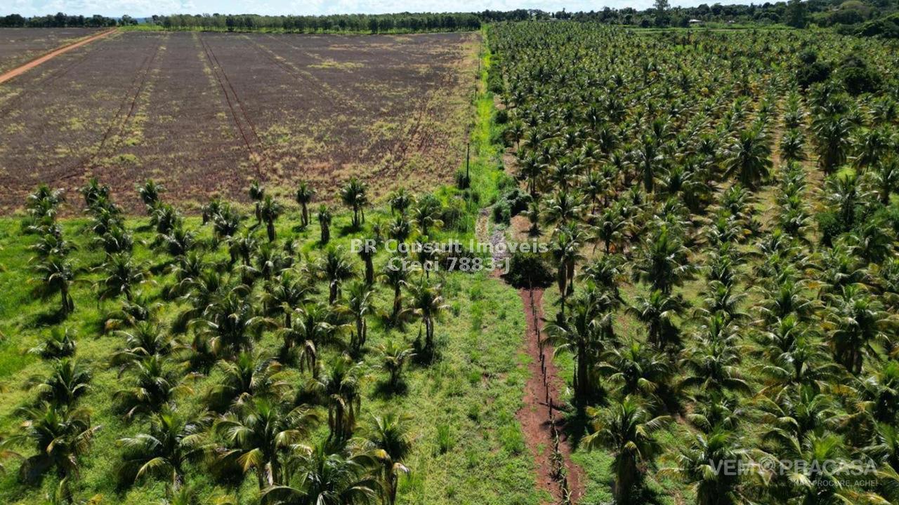 Chácara à venda no Zona Rural, Terenos – foto 28