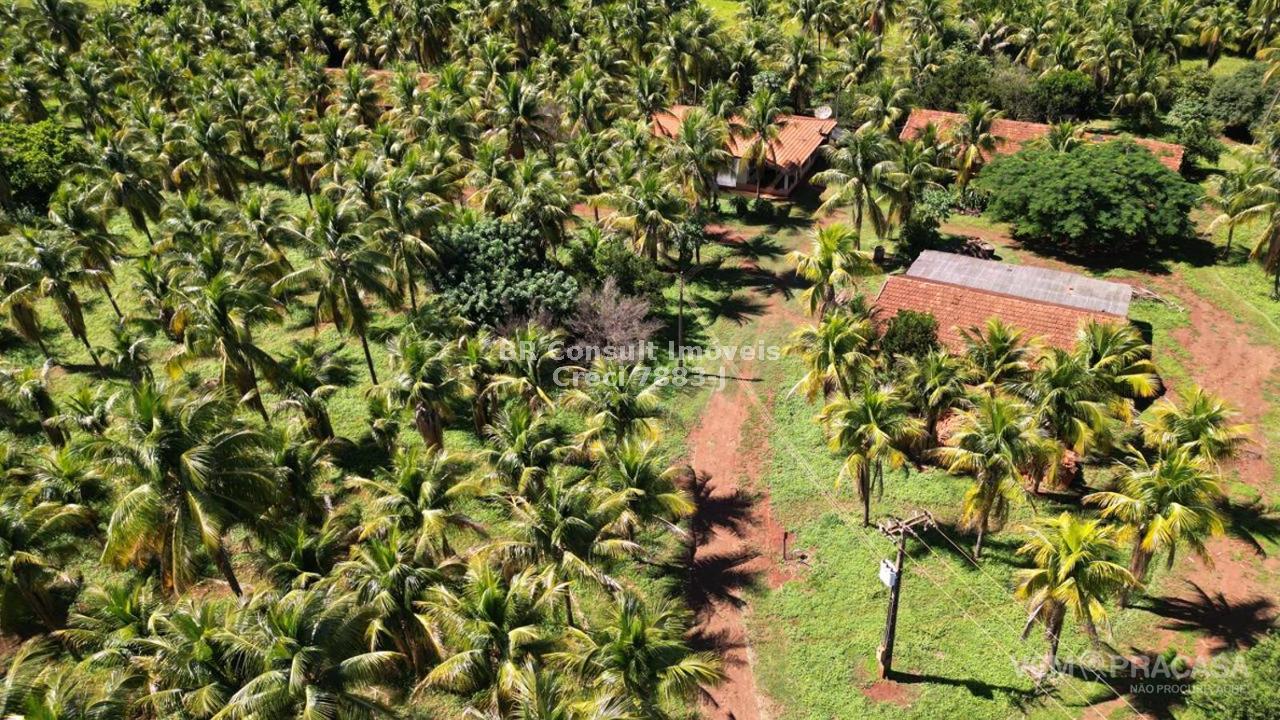 Chácara à venda no Zona Rural, Terenos – foto 29