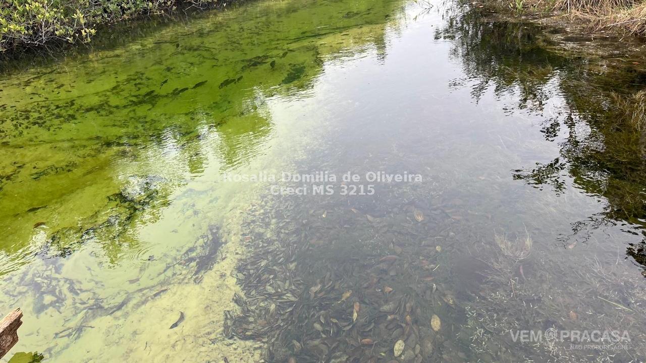 Fazenda à venda no Centro, Pontes e Lacerda – foto 17