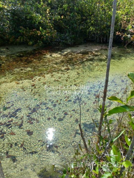 Fazenda à venda no Centro, Pontes e Lacerda – foto 19