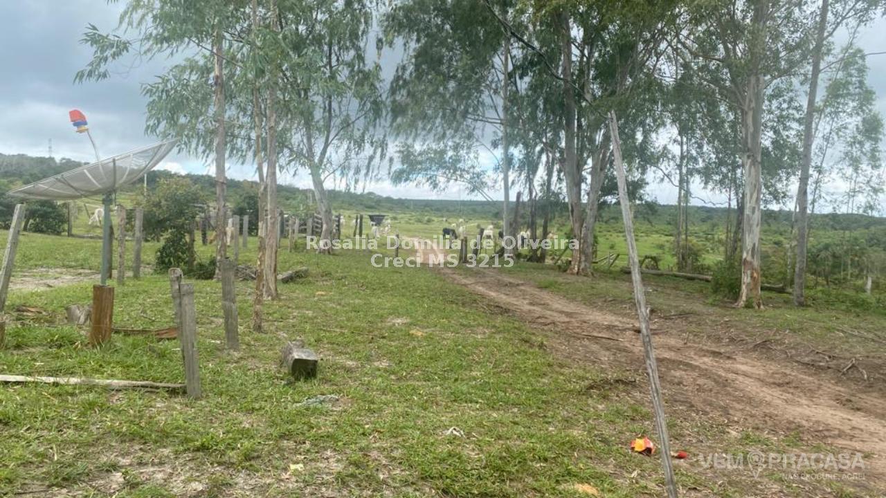 Fazenda à venda no Centro, Pontes e Lacerda – foto 21