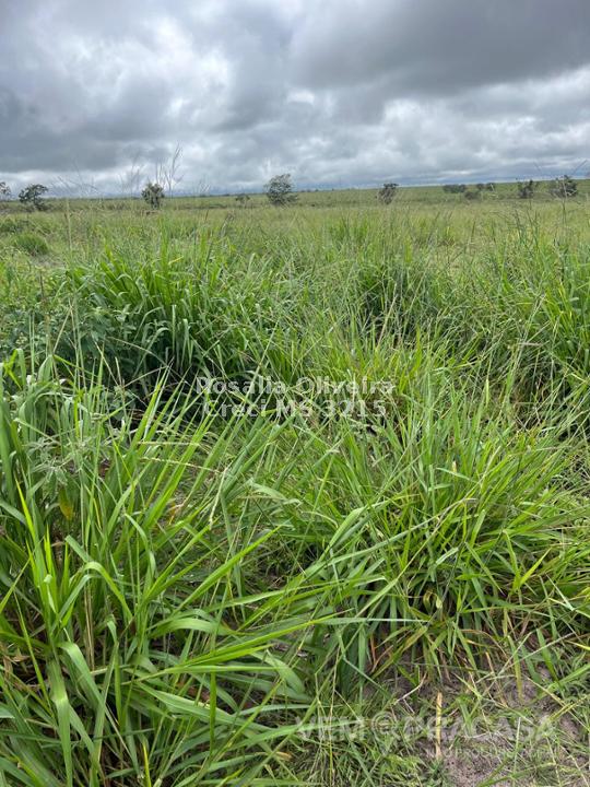Fazenda à venda no Centro, Pontes e Lacerda – foto 23