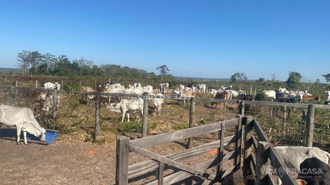 Fazenda à venda no Centro, Pontes e Lacerda – foto 8