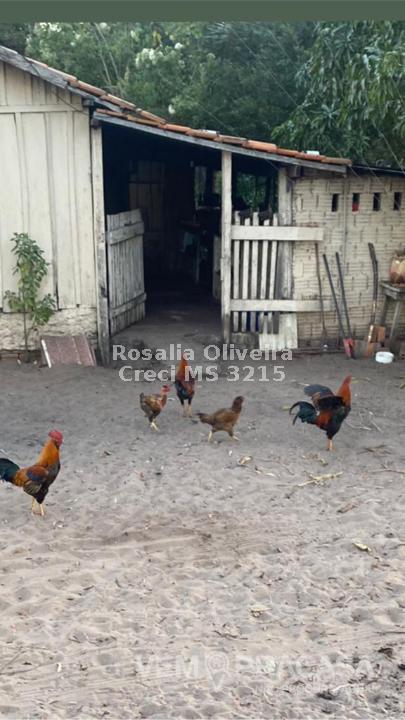Fazenda à venda no Centro, Pontes e Lacerda – foto 15
