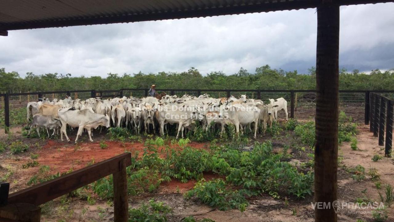 Fazenda à venda no Centro, Pontes e Lacerda – foto 7
