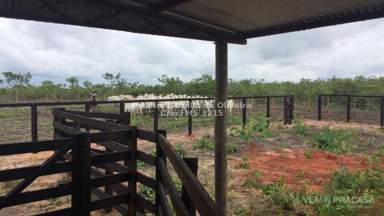 Fazenda à venda no Centro, Pontes e Lacerda – foto 4