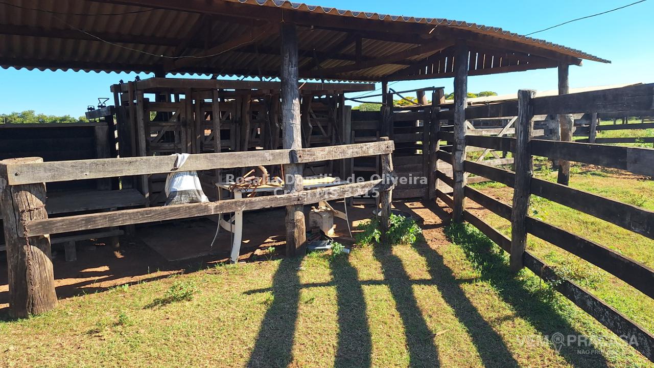 Fazenda à venda no Área Rural de Campo Grande, Campo Grande – foto 3