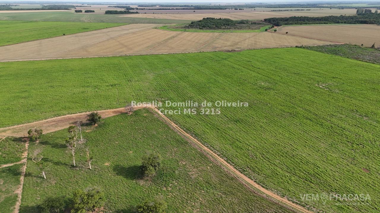Fazenda à venda no Área Rural de Campo Grande, Campo Grande – foto 5