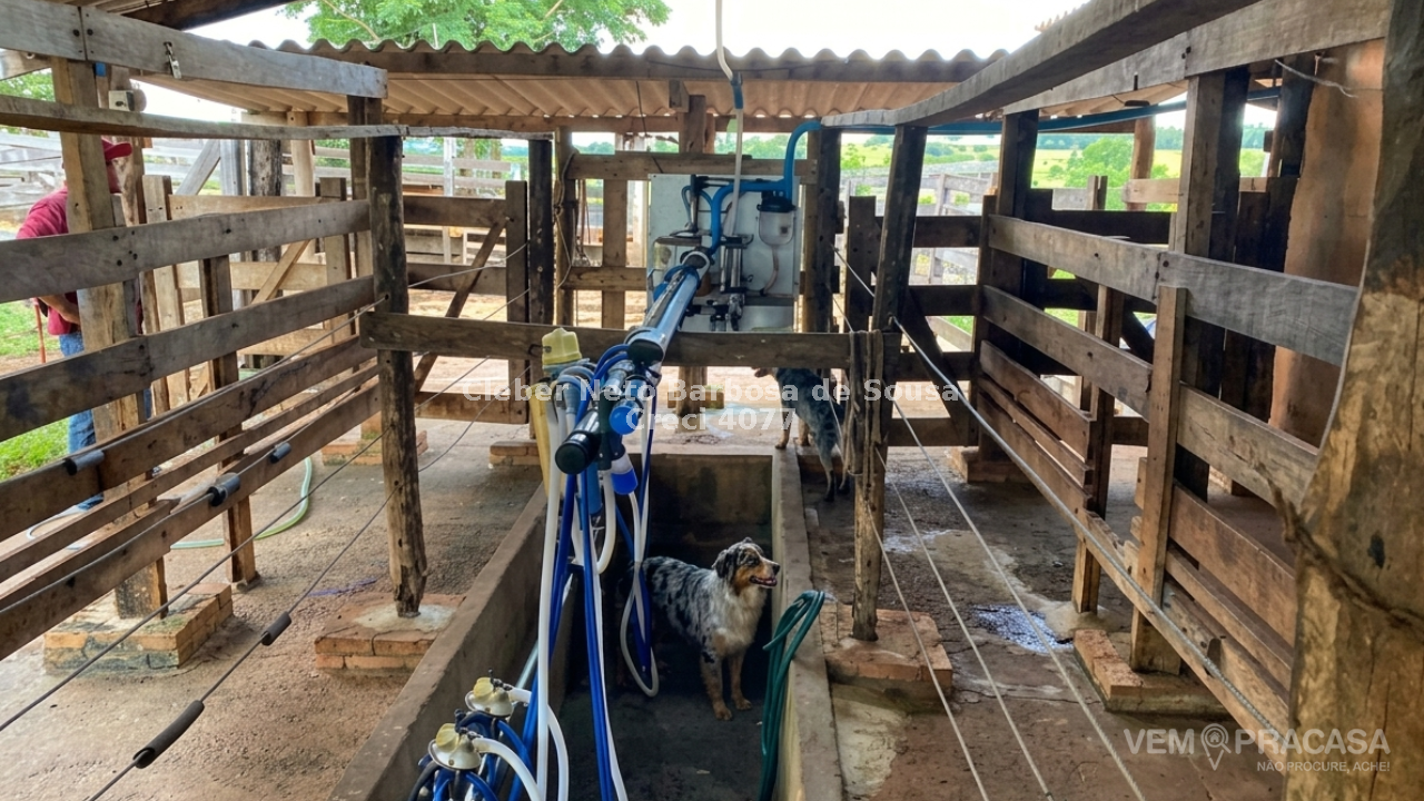 Chácara à venda no Zona Rural, Jaraguari – foto 5