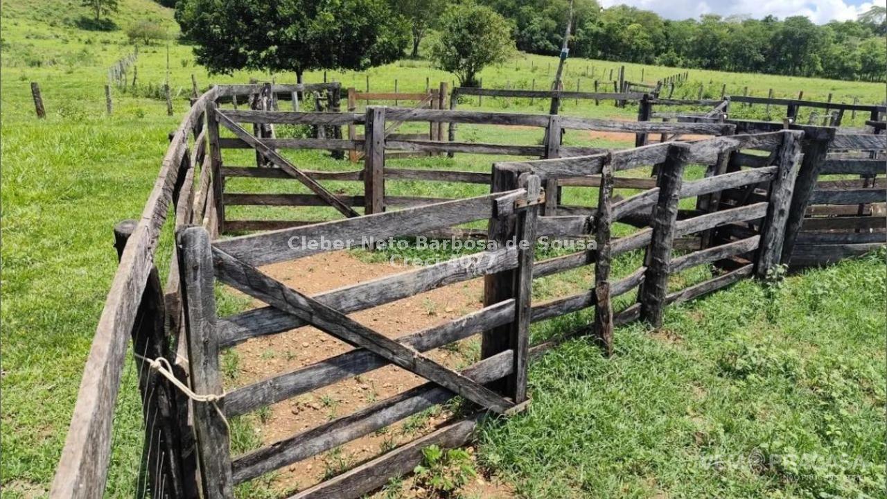 Chácara à venda no Zona Rural, Rochedinho (Campo Grande) – foto 4