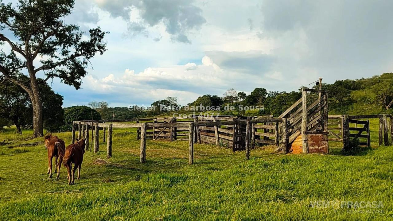 Chácara à venda no Zona Rural, Rochedinho (Campo Grande) – foto 9