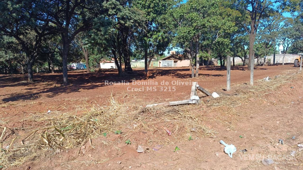 Área à venda no Nova Lima, Campo Grande – foto 2