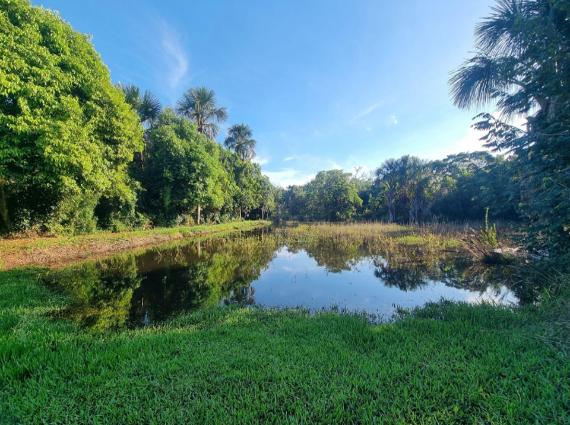 Chácara para lançamento no Área Rural de Campo Grande, Campo Grande