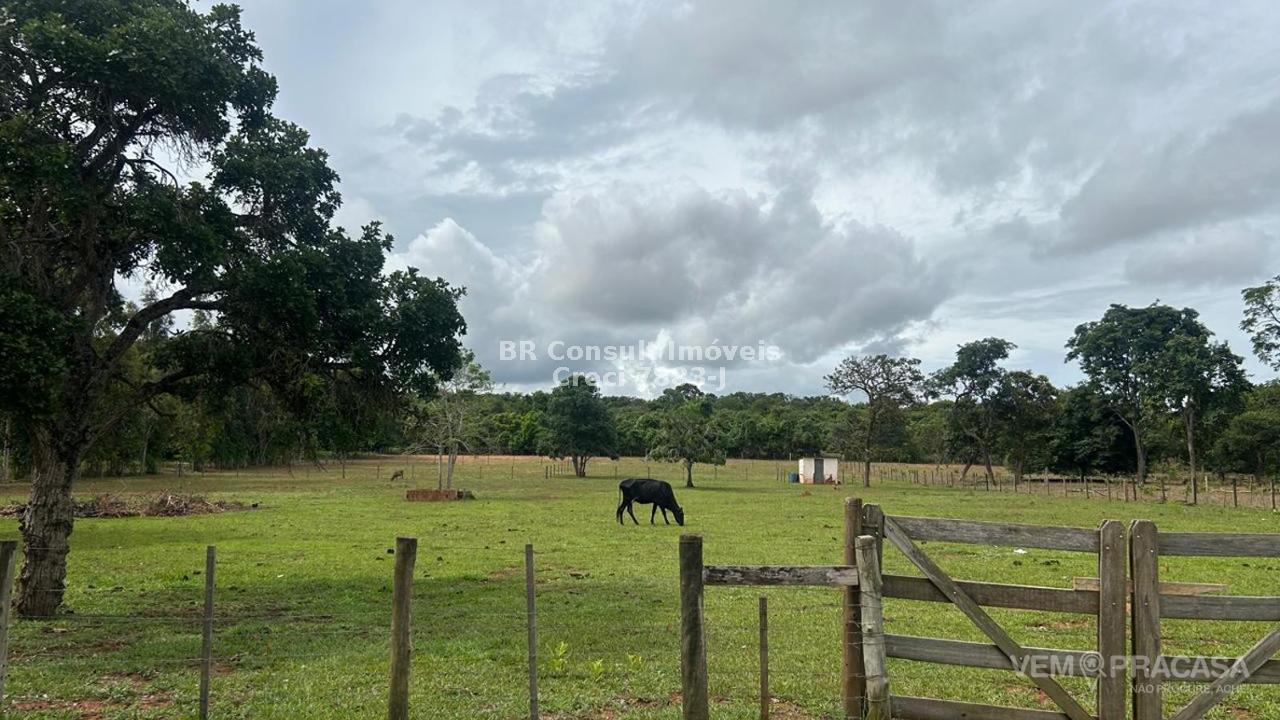 Chácara à venda no Área Rural de Campo Grande, Campo Grande – foto 15