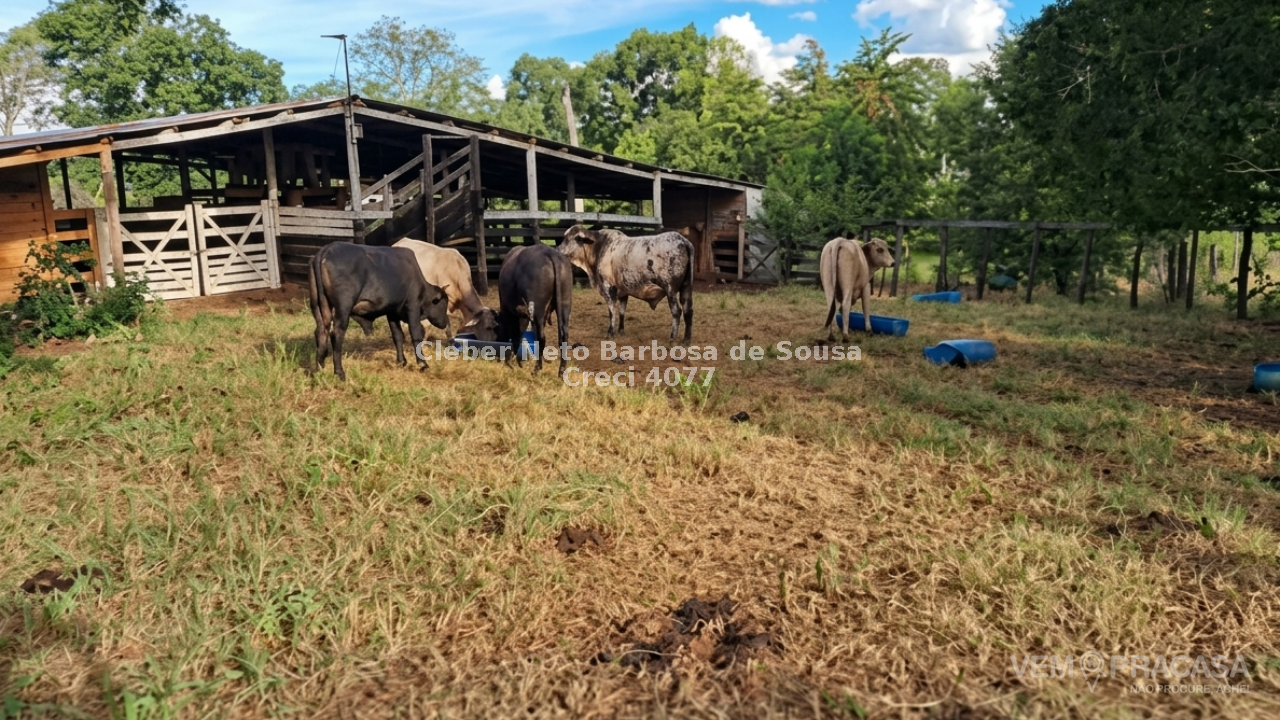 Sítio à venda no Zona Rural, Bonito – foto 1
