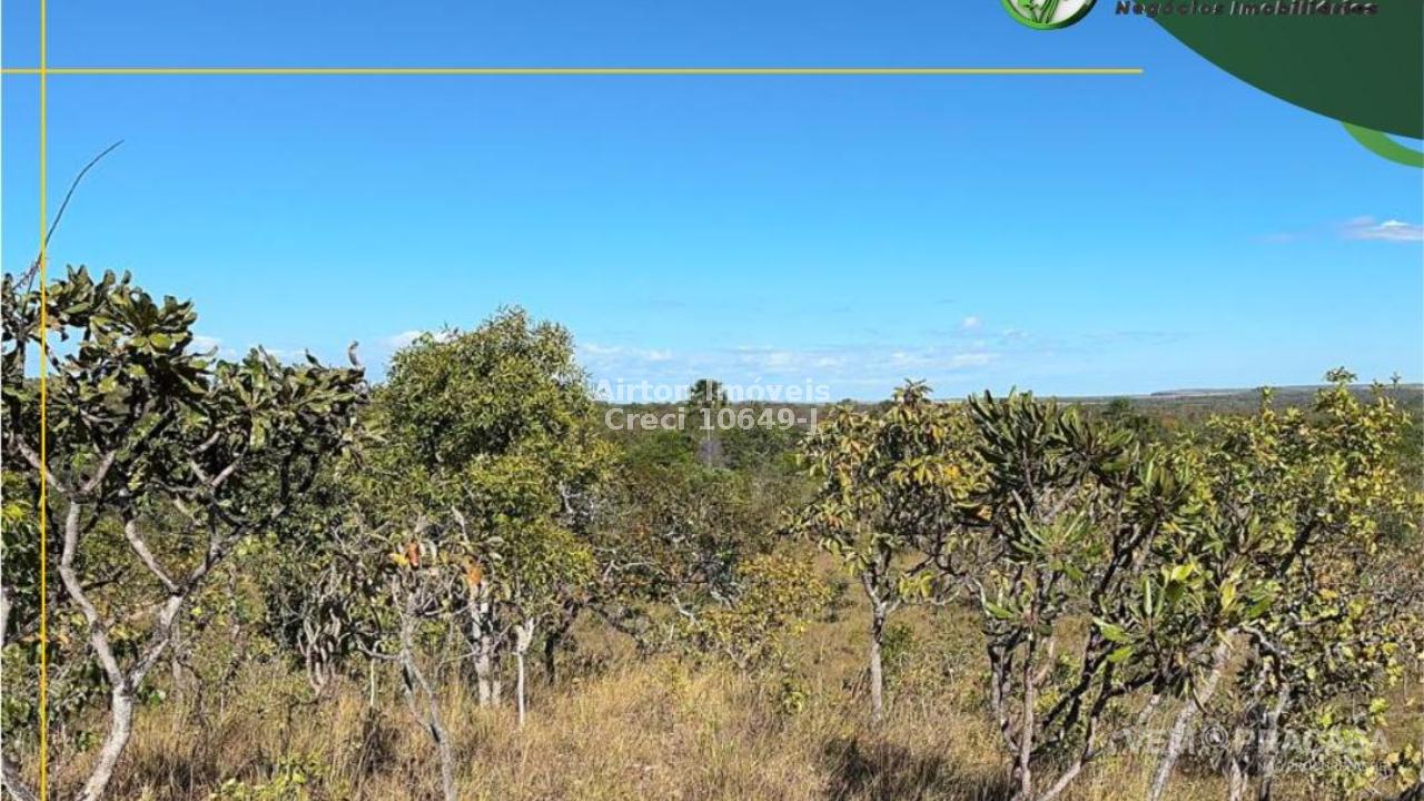 Fazenda à venda no Setor Central, Centenário – foto 8