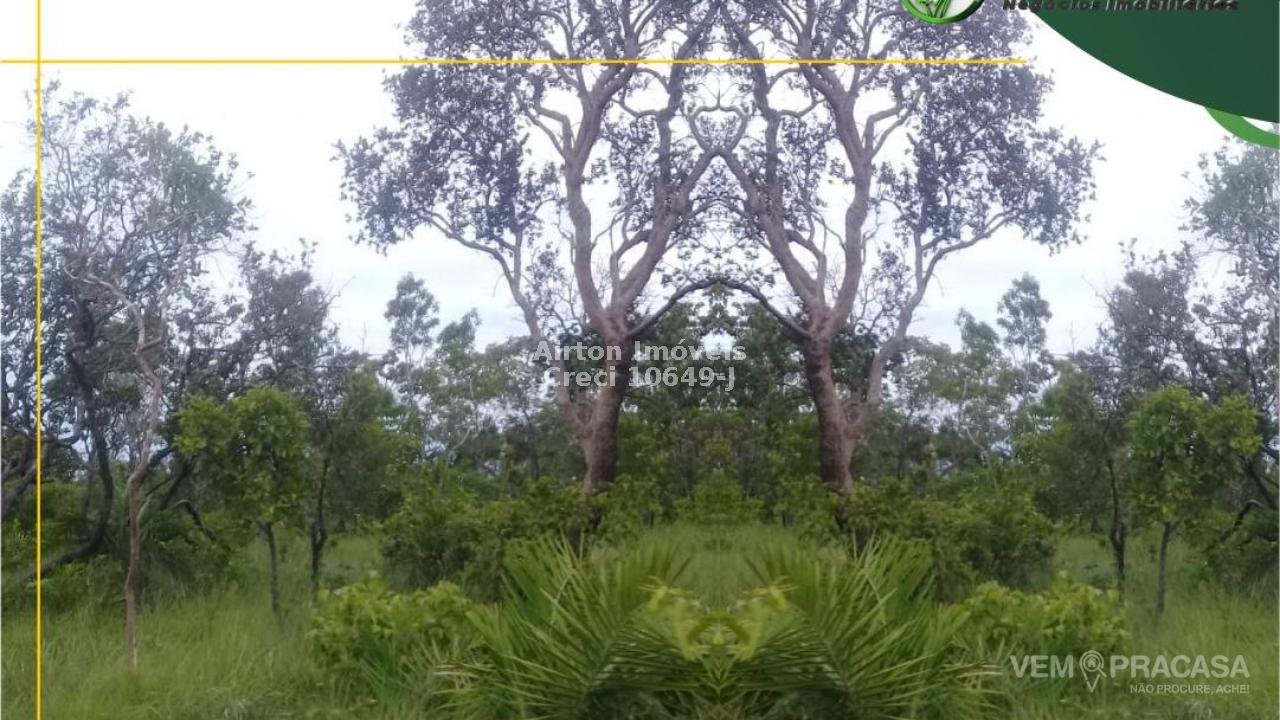 Fazenda à venda no Setor Central, Centenário – foto 9